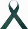 1 Inch Wide Double Face Satin Ribbon No Fading Woven Ribbon - 25 Yard (593-Dark Green)